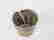 item-81917124=2