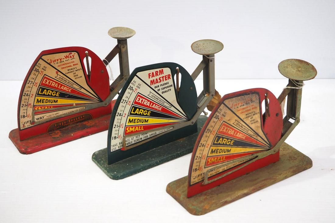 (3) Egg scales (1 of 2)