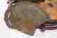 item-112988229=2