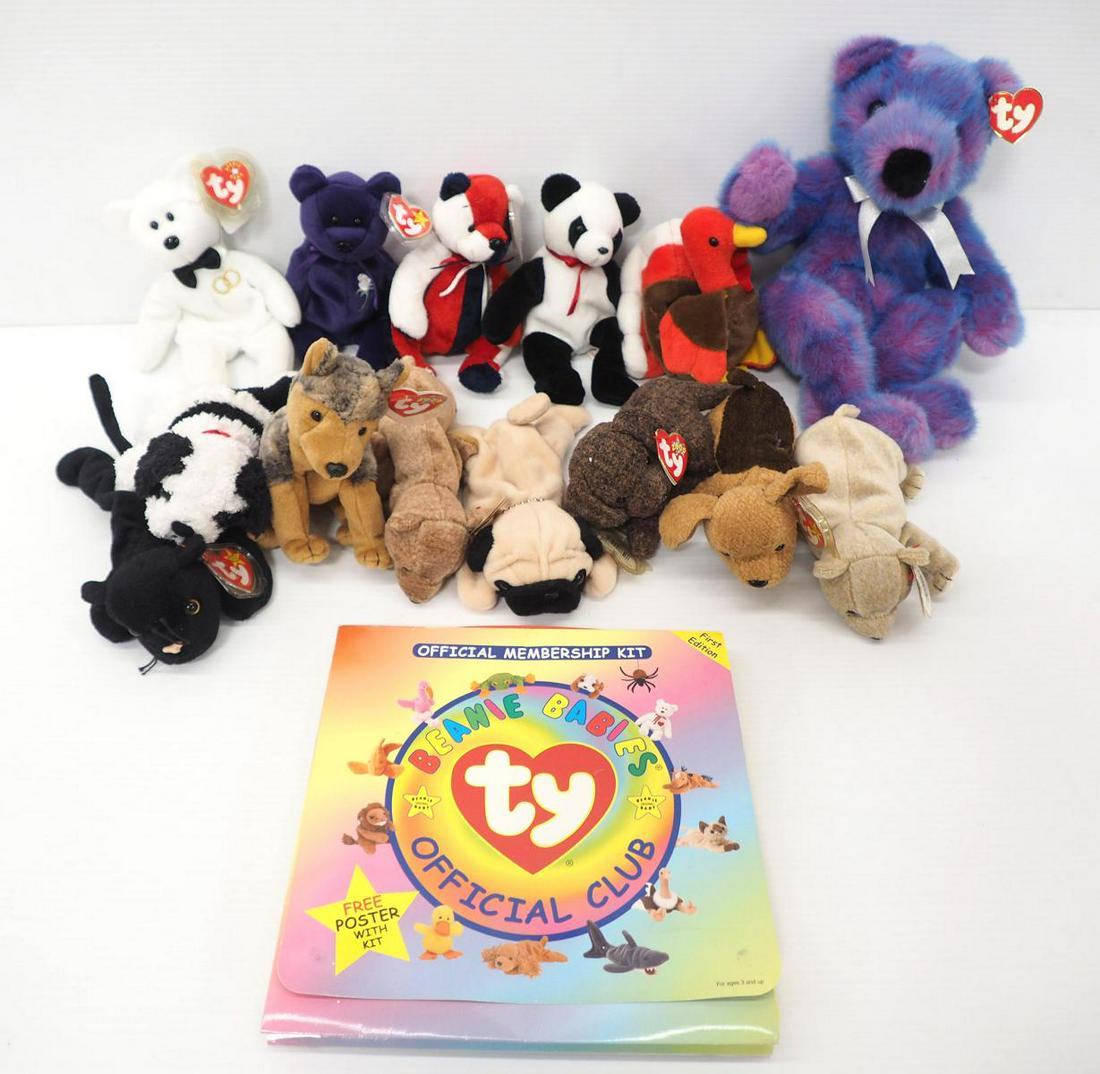 (14) Beanie Babies & Official Ty Membership Kit (1 of 6)
