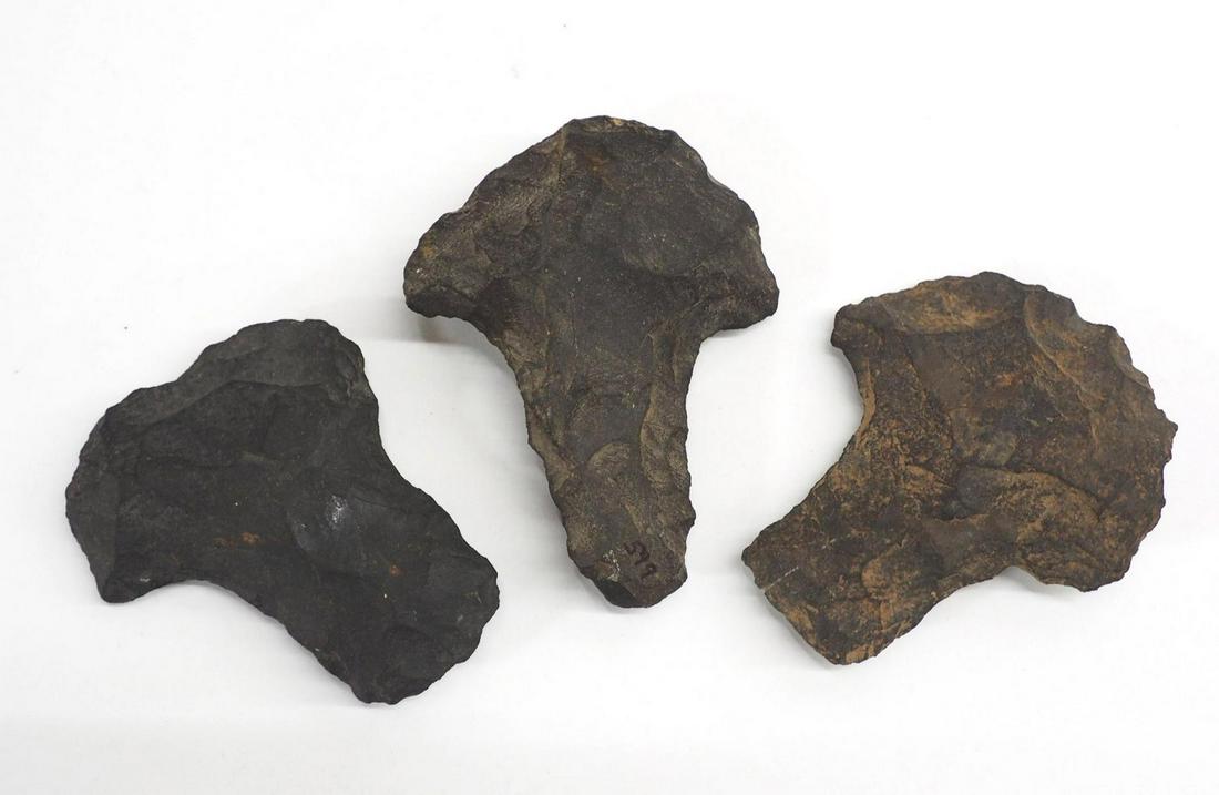 (3) Black Flint Hoes: (3) Black Flint Hoes, ORIGIN: Kosciusko County, IN, EX: David Warner / Seth Watkins / Marko Watkins