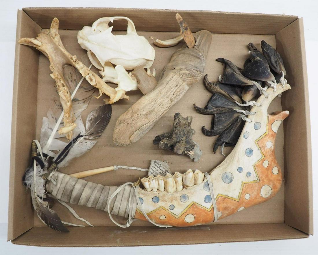 Misc. contemporary items and skull (1 of 4)