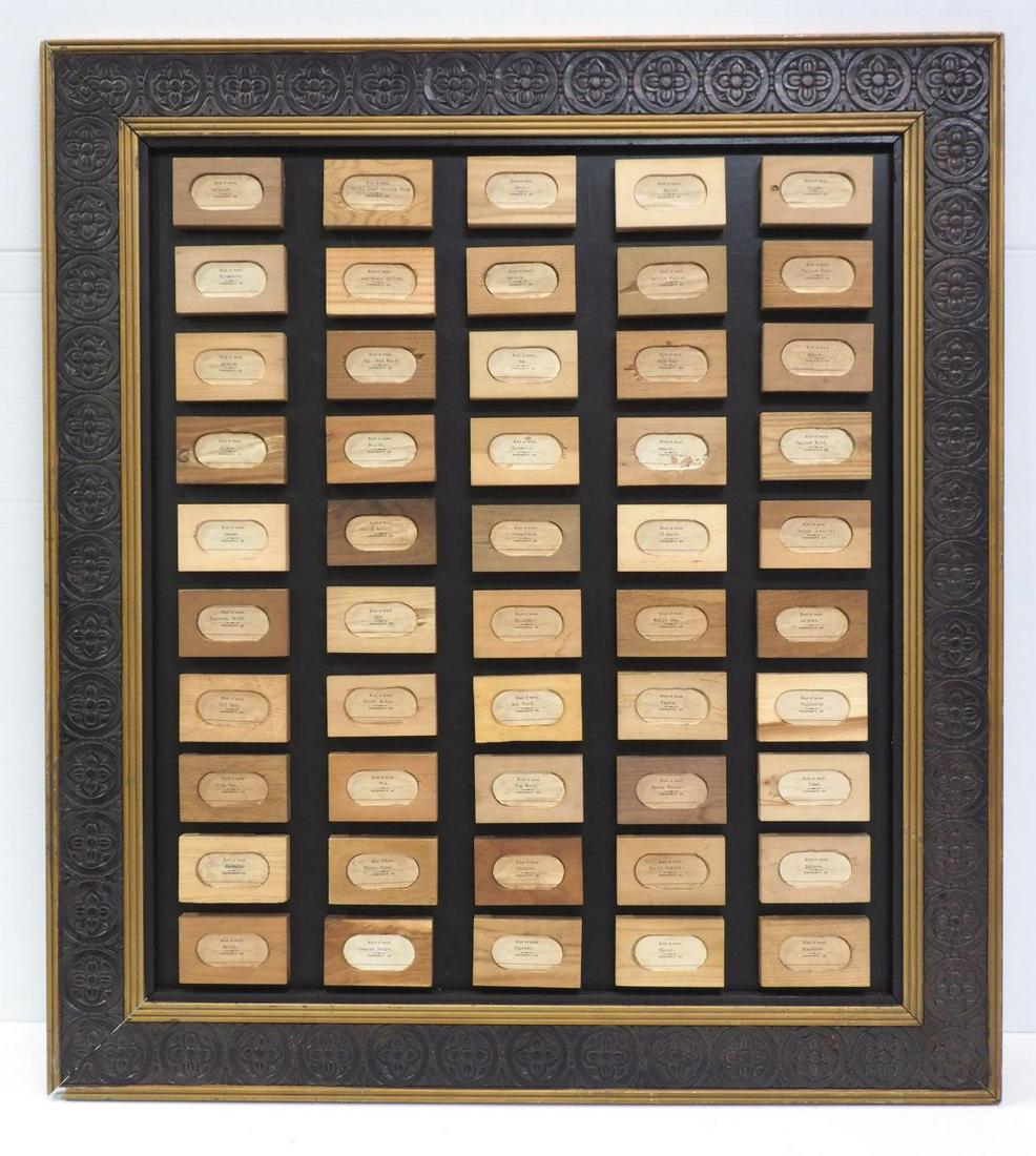 Wood block samples of 50 kinds of wood: 36"x39" framed wood block samples of 50 kinds of wood