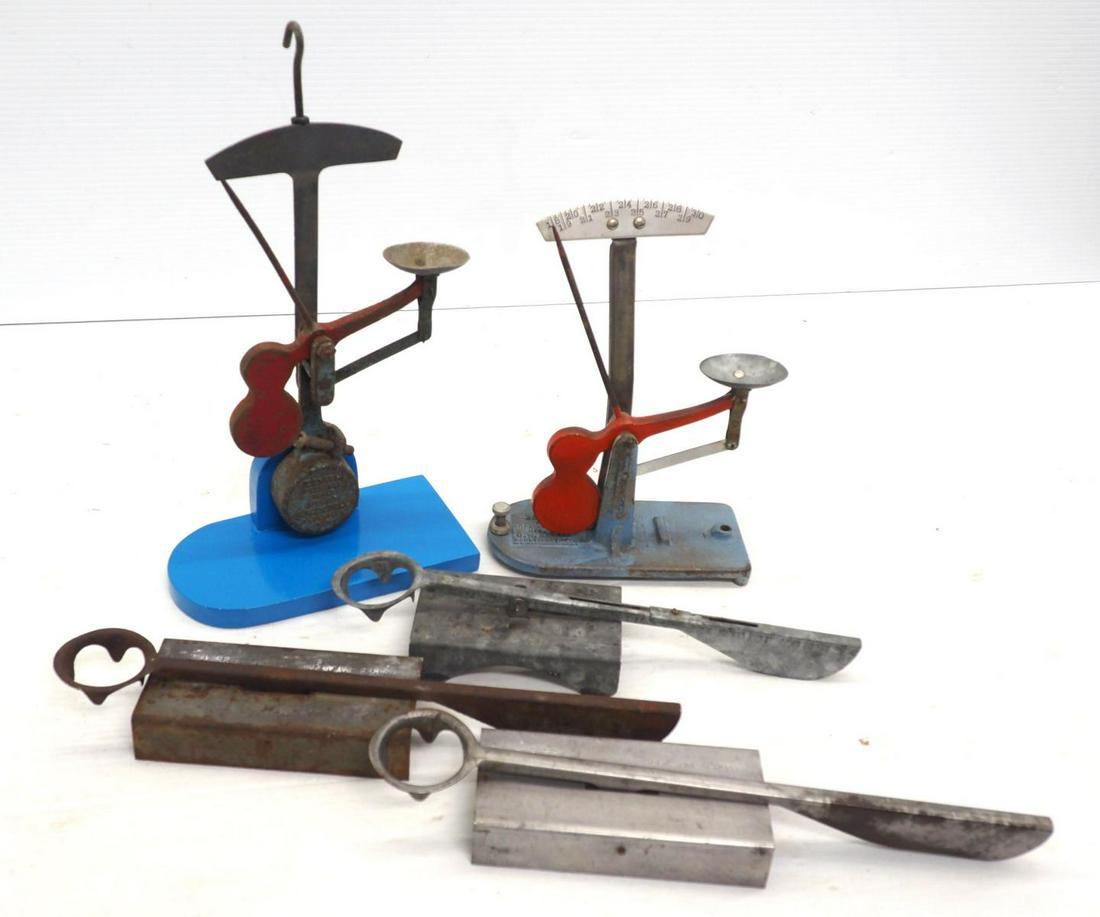 (5) egg scales (1 of 1)