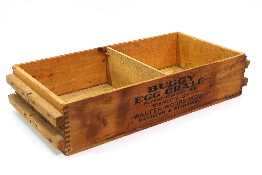 Buggy Egg Crate (1 of 2)