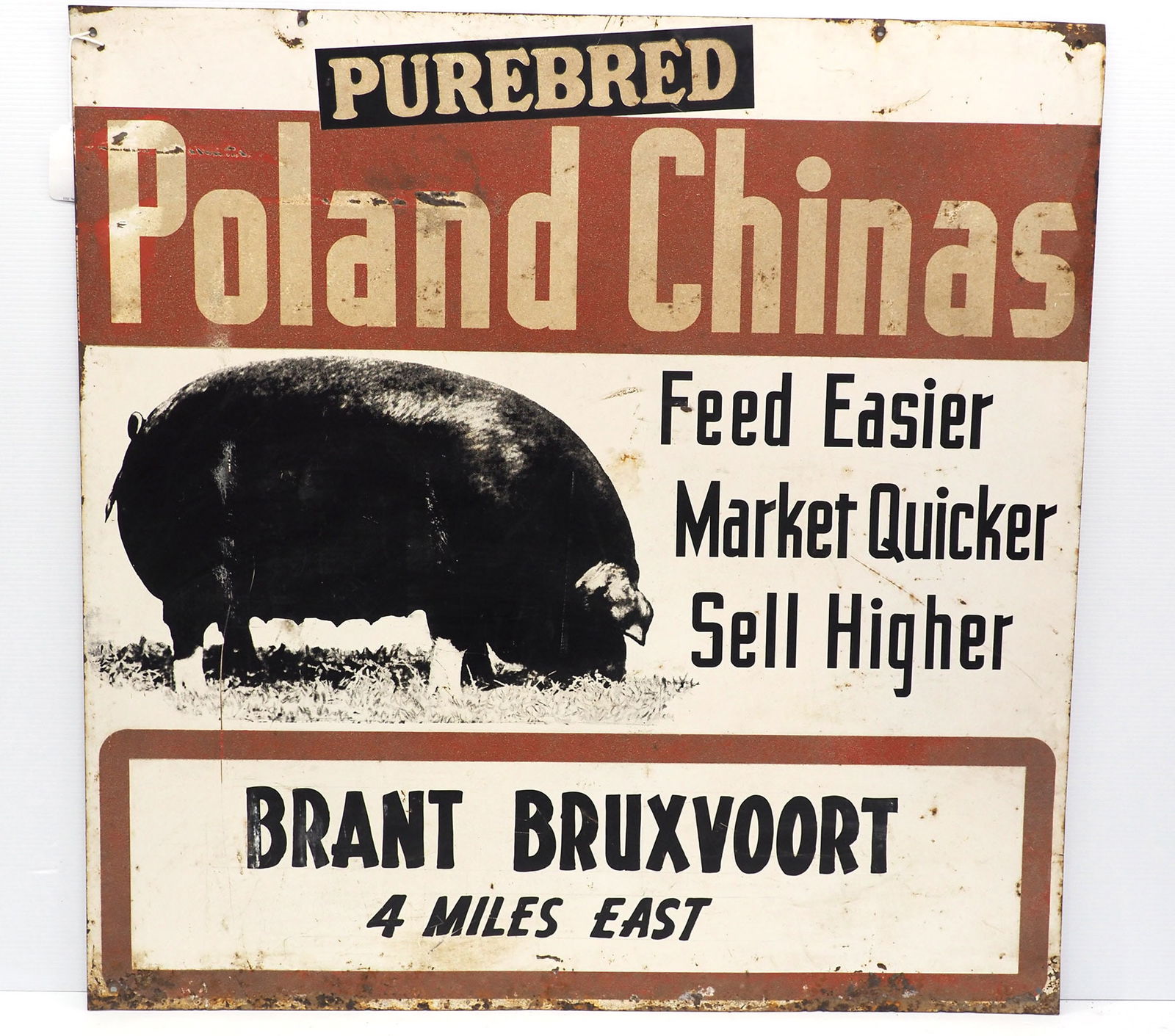 Purebred Poland China Hogs reflective sign (1 of 5)