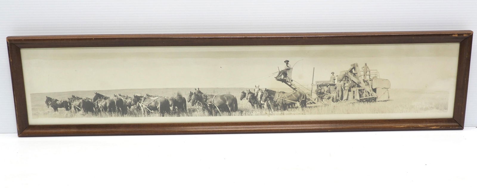 Framed photograph of 20+ horse-hitch wheat harvest (1 of 2)