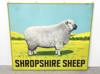 Shropshire Sheep sign