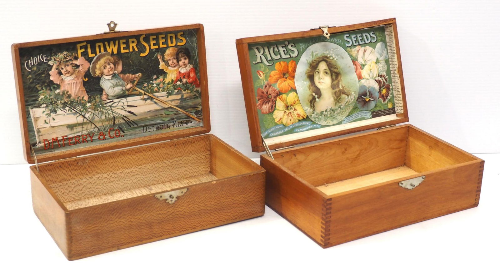Rice's & D.M. Ferry Flower Seeds boxes (1 of 2)
