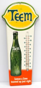 Teem thermometer