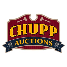 Auction Terms