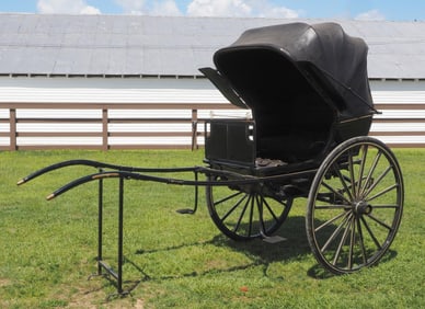 English 1-horse Doctor's Buggy