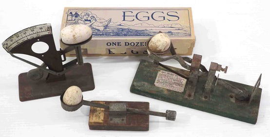 Egg scales and eggs
