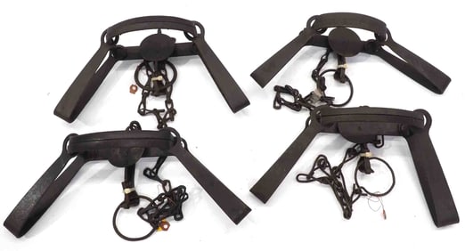 (4) Triumph animal traps