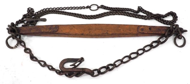 Single tree with chain