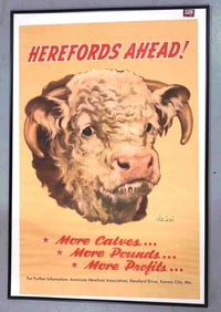 Herefords Ahead advertisement
