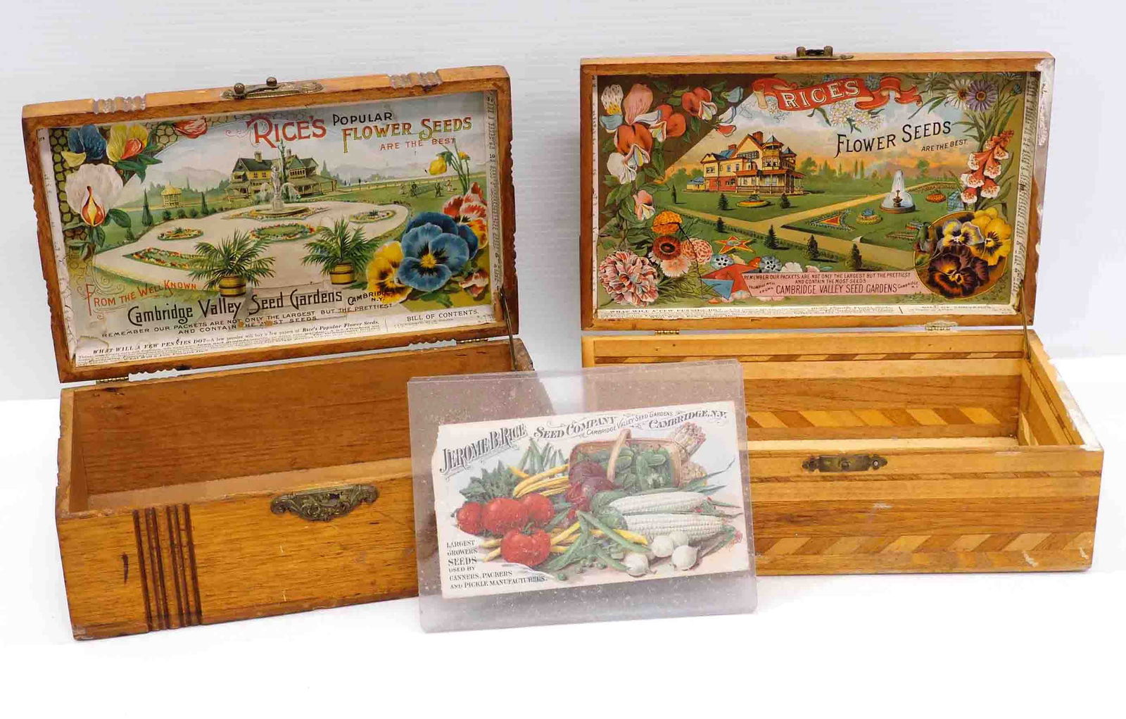 (2) Wooden Rice's Flower Seeds boxes (1 of 2)