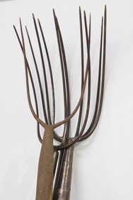 (4) Primitive forks, longest is 71"L