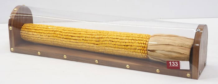 Oversized ear of corn
