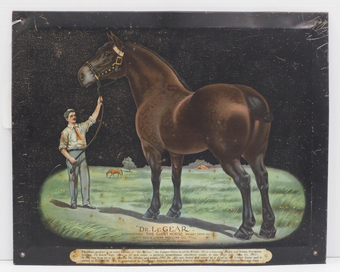Dr LeGear "The Giant Horse" advertisement: 17.5"x14.5" tin over cardboard Dr LeGear "The Giant Horse" advertisement by American Art Works - Fair