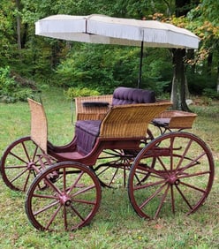 Single seat open buggy