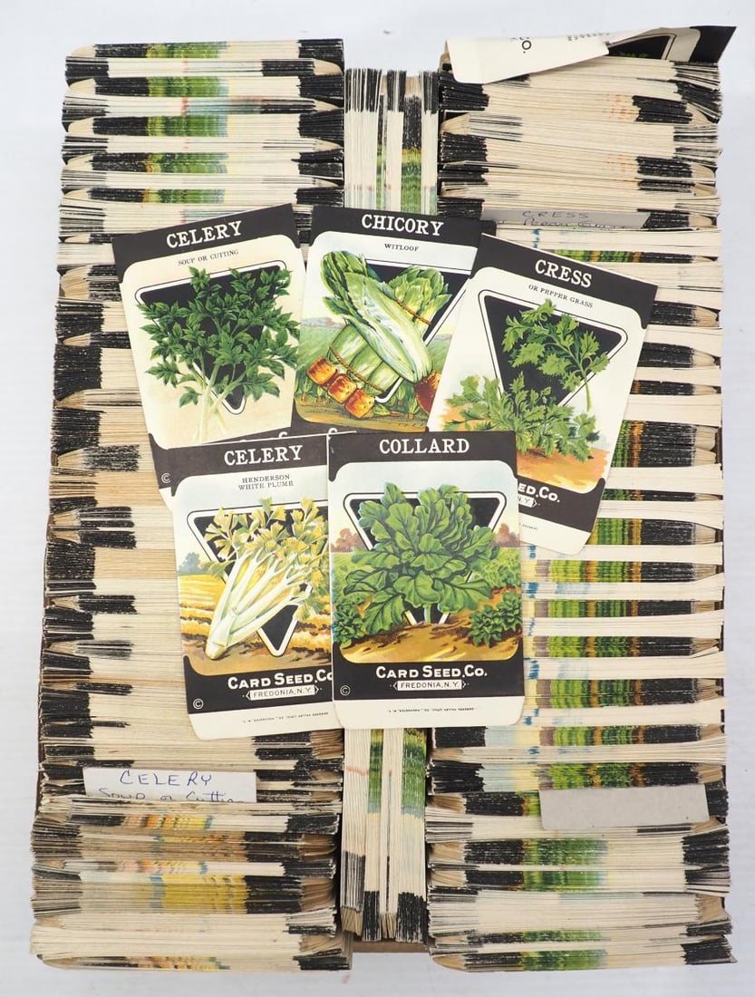 Box of NOS vegetable seed packets: Box of NOS vegetable seed packets