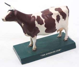 The Ayrshire Cow model