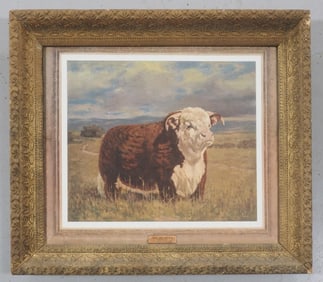 Hereford Bull print