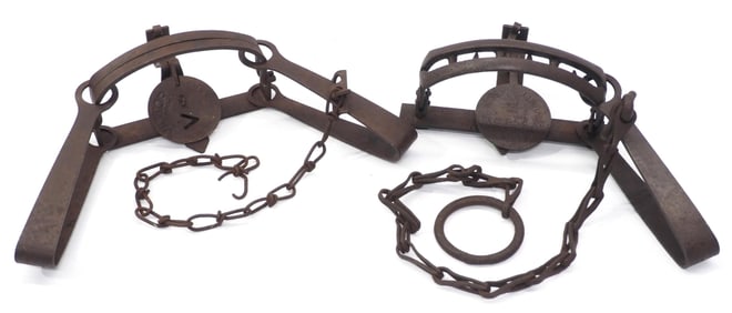 (2) Oneida animal traps
