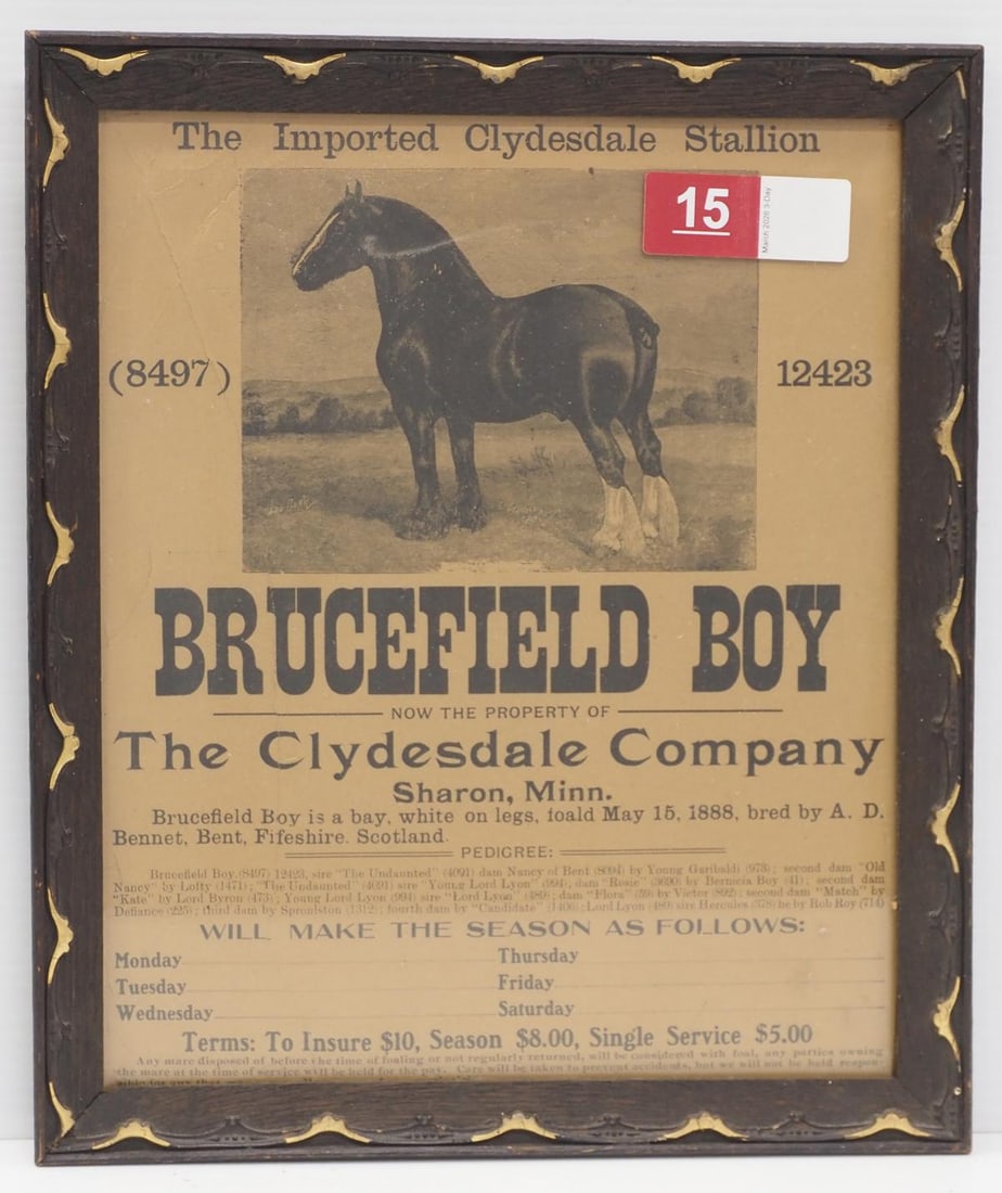 Brucefield Boy paper advertisement (1 of 3)