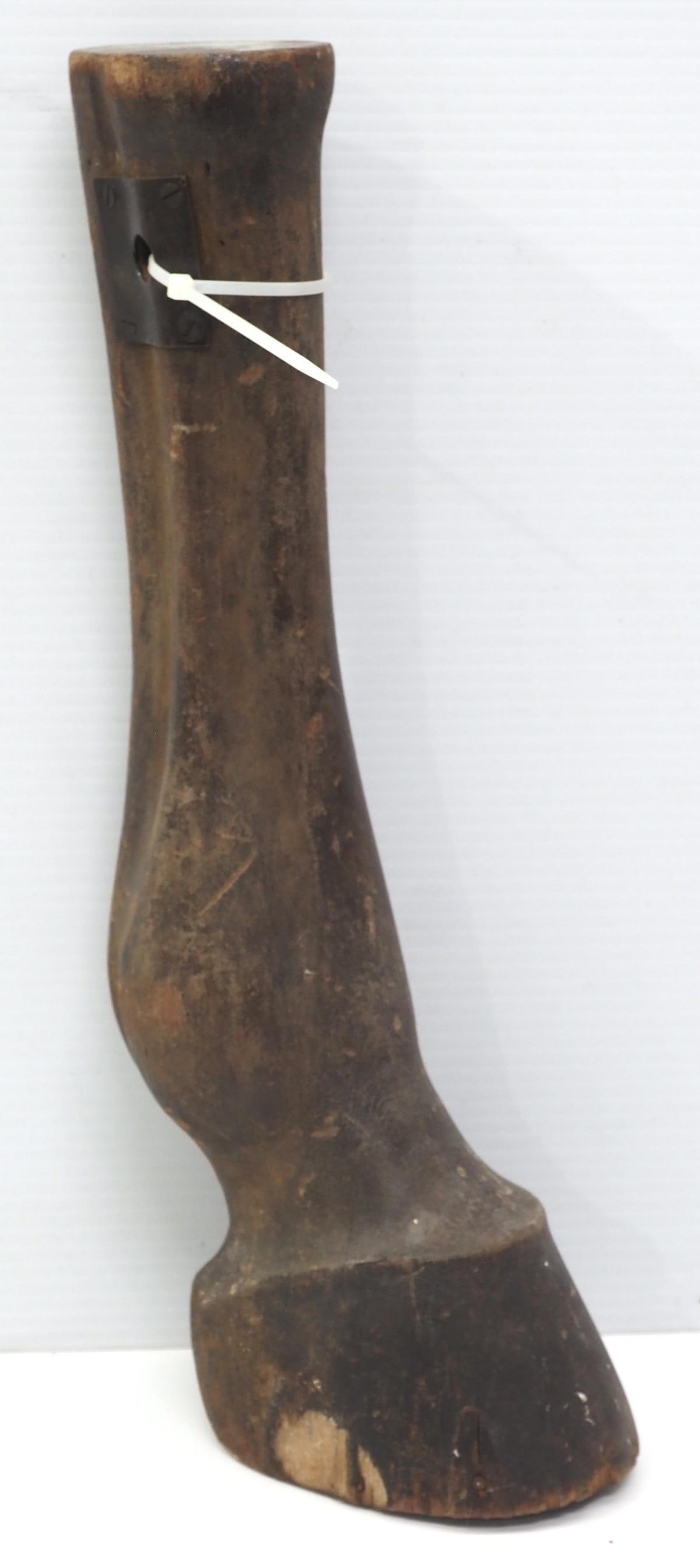 Wooden horse leg/hoof display (1 of 2)