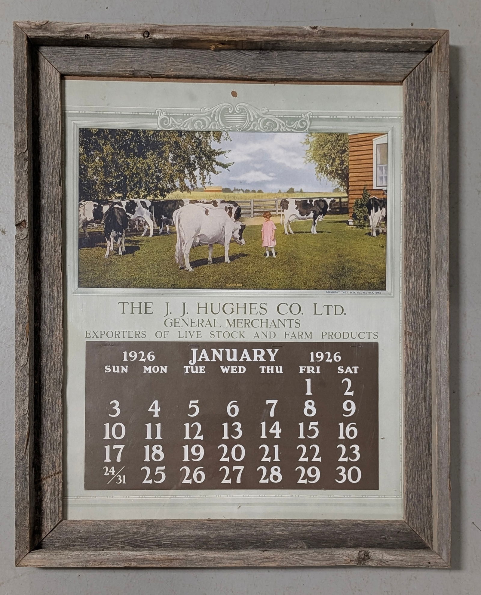 1926 calendar for J.J. Hughes Co: 1926 calendar for J.J. Hughes Co. Ltd, General Merchants, Exporters of Live Stock and Farm Products, frame measures 19"x23" - Very Good