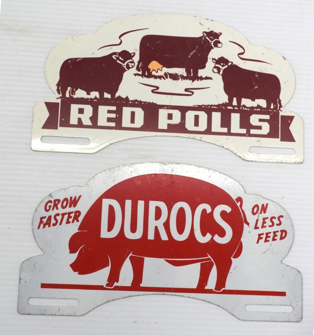 (2) License plate toppers, SST: (2) License plate toppers, SST: Durocs / Red Polls