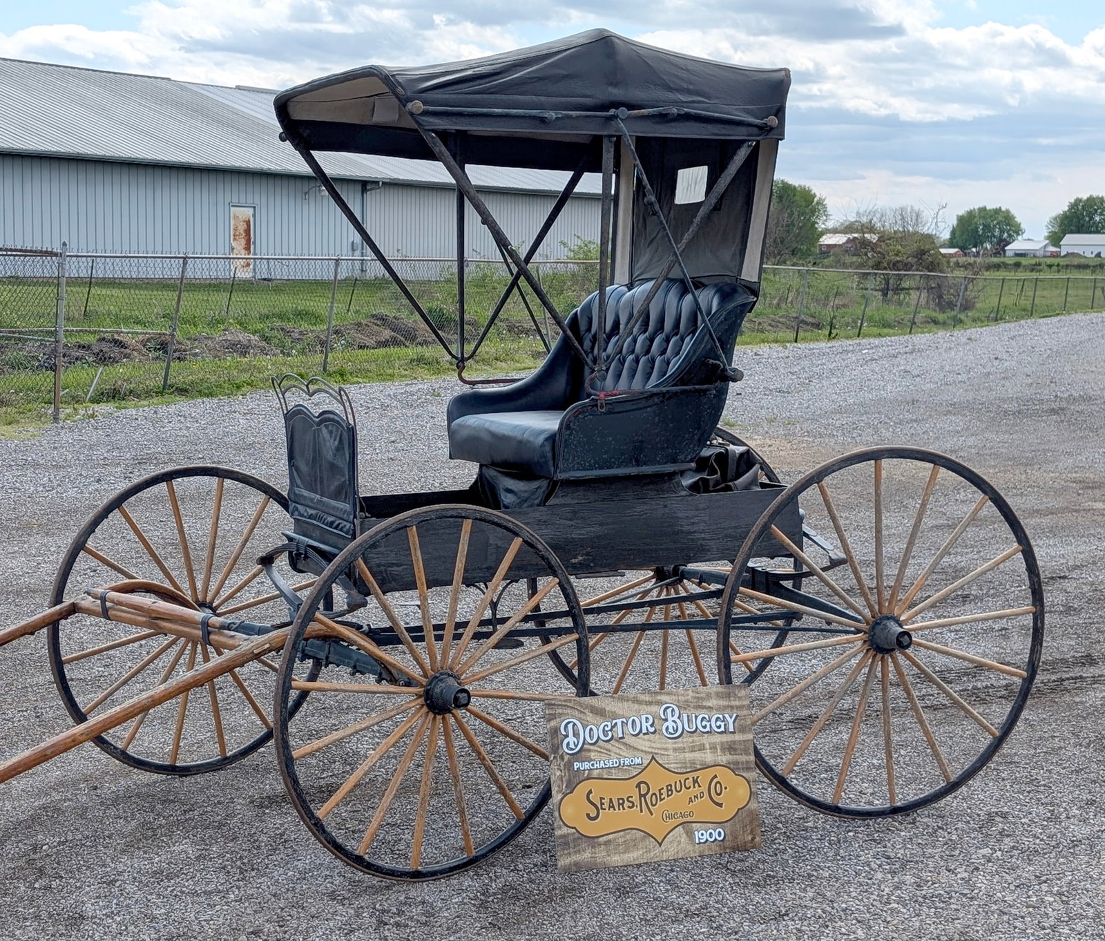 Doctor buggy (1 of 13)