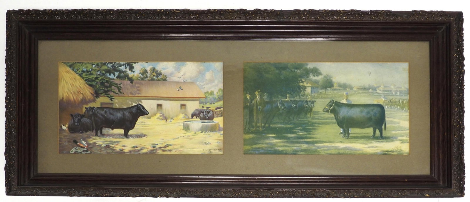 Pair of framed prints of Black Angus bulls: Pair of framed prints of Black Angus bulls by Frank Whitney, frame measures 37"x15.5" - Good Condition Good