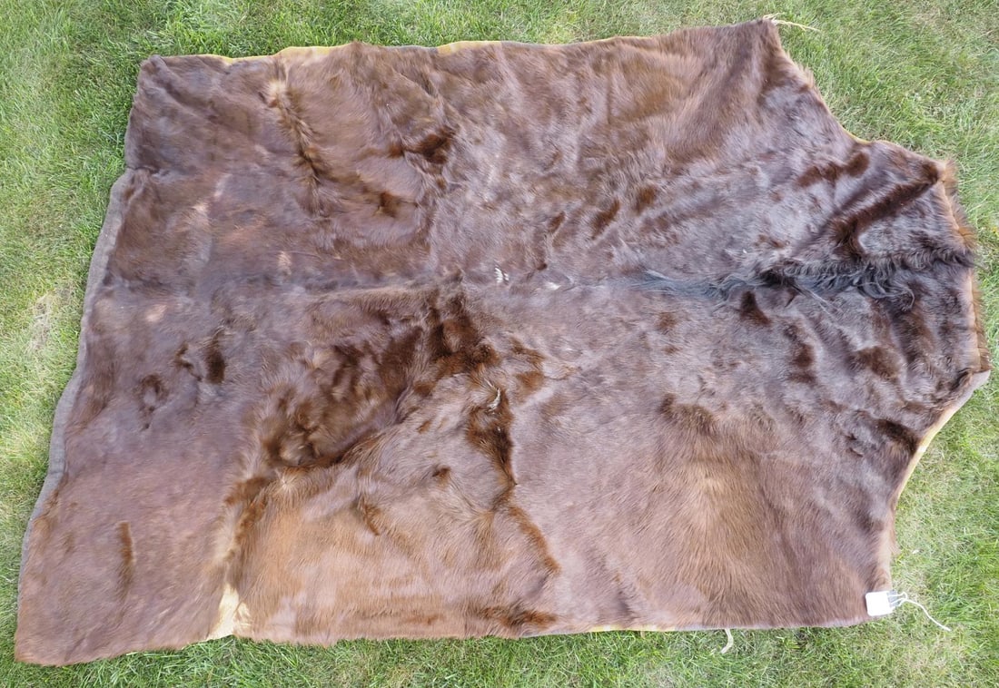 Horse hair buggy robe with striped fabric: Horse hair buggy robe with striped fabric