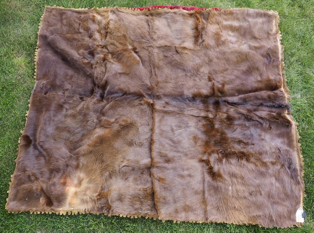 Horse hair buggy robe with red fabric: Horse hair buggy robe with red fabric