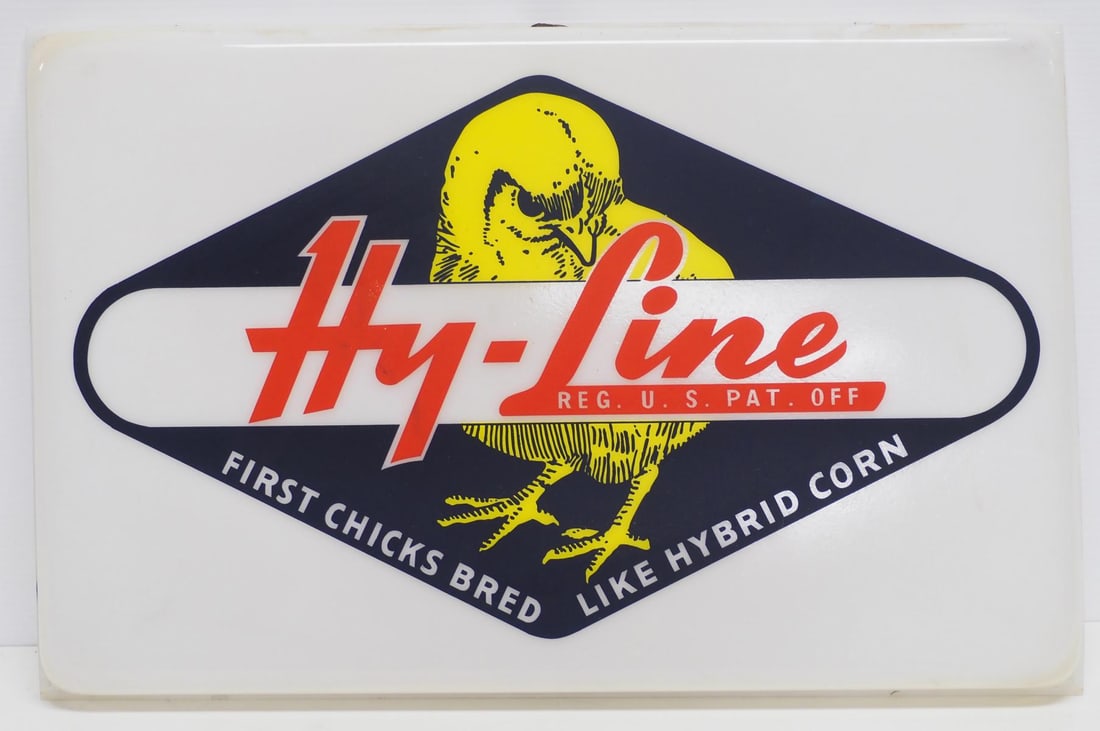 Hy-Line chick insert for sign: NOS 24"x15" plastic Hy-Line chick insert for sign - Excellent Condition Excellent