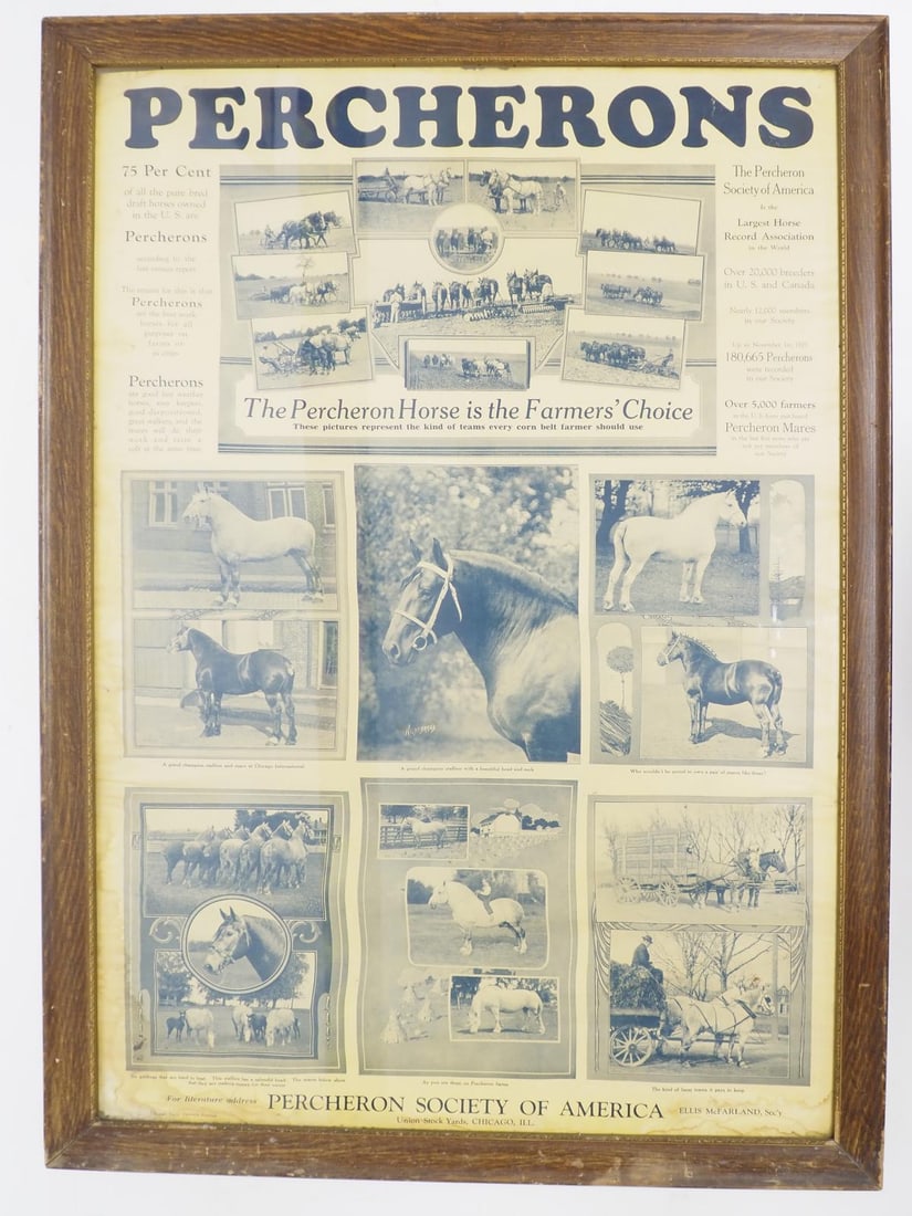 Framed Percheron Society of America paper poster (1 of 3)