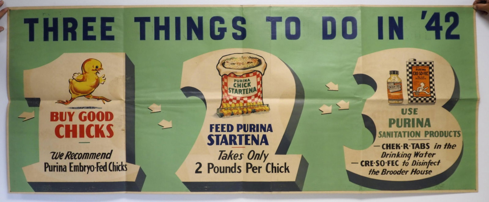 Purina Chick Startena dealer poster (1 of 3)
