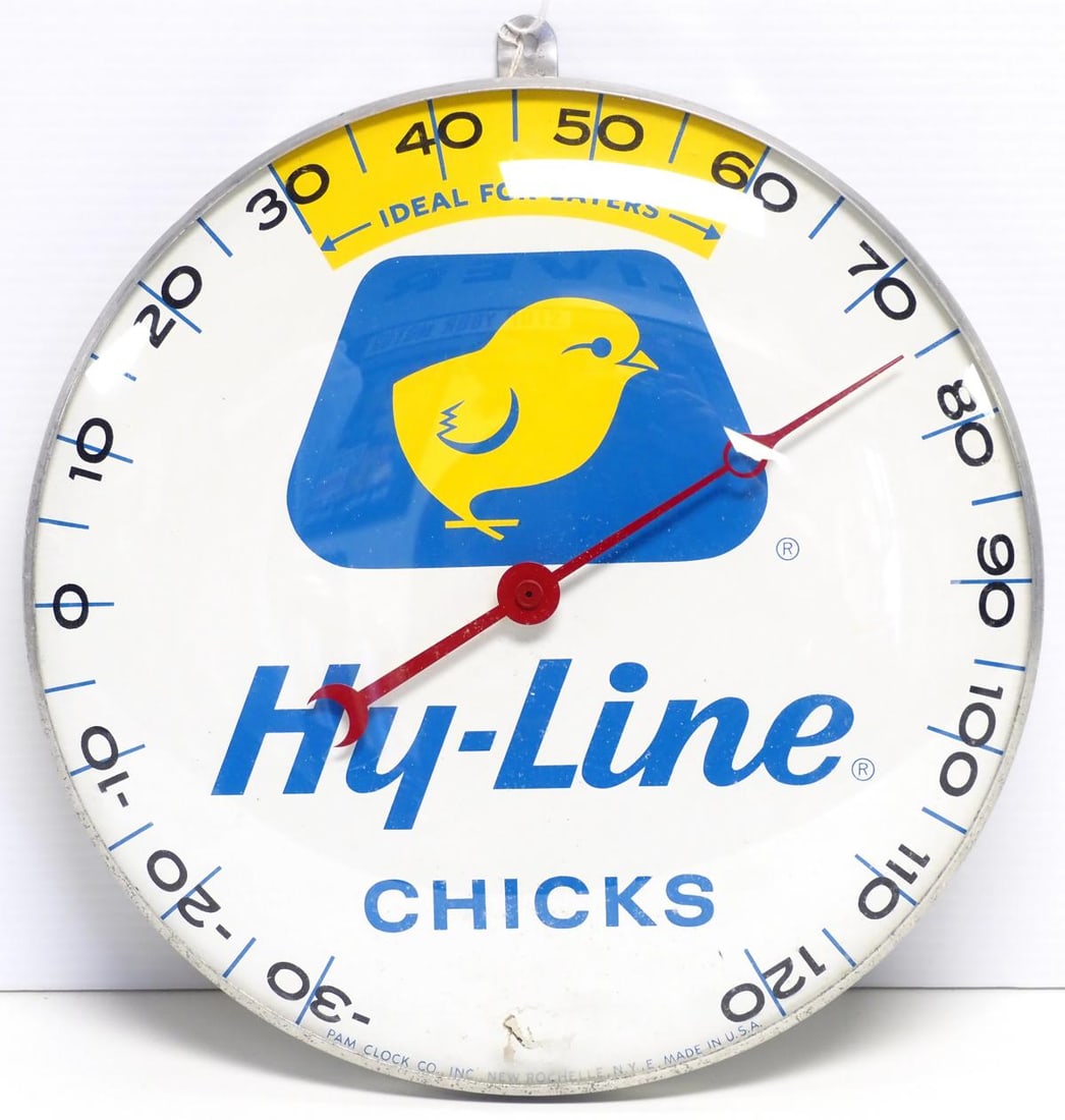 Hy-Line Chicks thermometer (1 of 3)