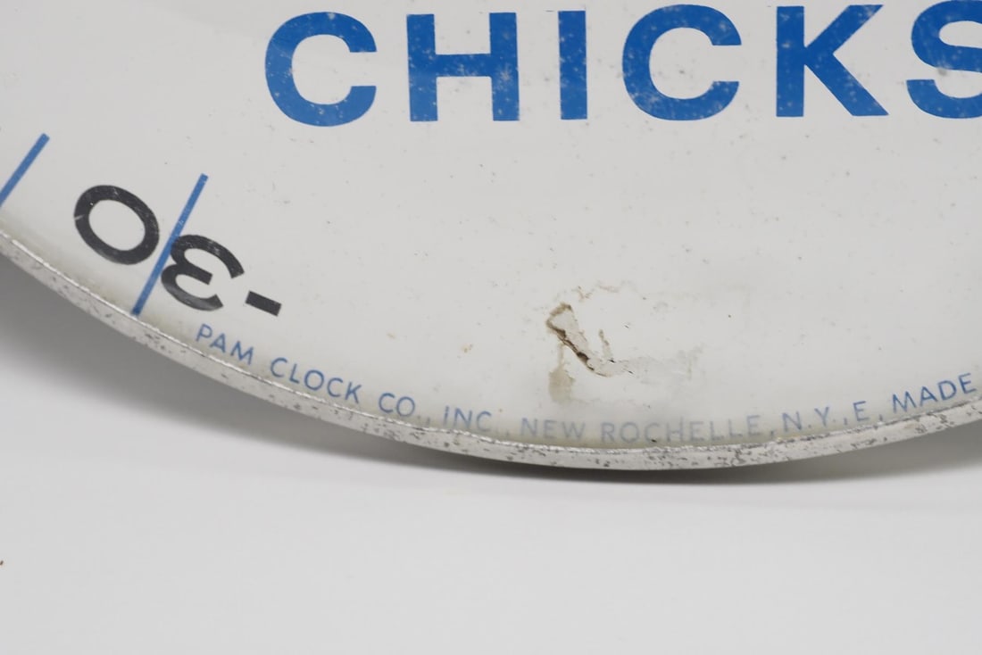 Hy-Line Chicks thermometer - 2