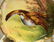 4 Limoges Coronet Hand Painted Cabinet Wall Plates - 4