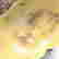 item-80819995=4