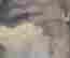 item-80820037=4