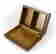 item-81664510=2