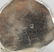 Storck Sinsheimer Silver Hanau Vase London Import Marks - 5