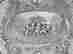 item-83418172=2