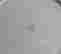 item-83418261=4