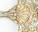 Gorham Sterling Silver Art Nouveau Pierced BonBon Spoon - 4